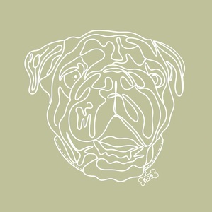 Fundraising Page: Robyn Schnieders